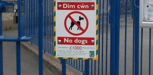 Dogs banned from play and skate parks in Bude 