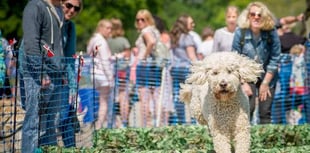 Doggy Summer Fete coming to Mount Edgcumbe