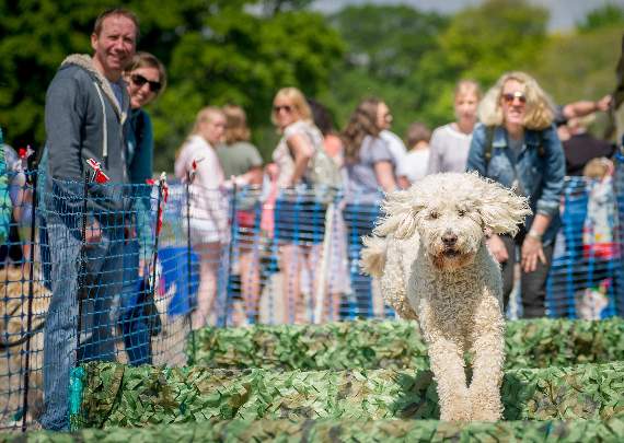 Doggy Summer Fete coming to Mount Edgcumbe