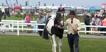 What is the weather like for the Royal Cornwall Show?