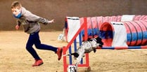 Four legged friends prepare for Crufts