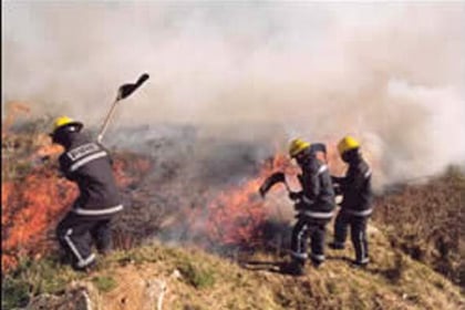 Holsworthy firefighters helped battle wildfire in Dartmoor Forest