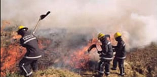 Holsworthy firefighters helped battle wildfire in Dartmoor Forest