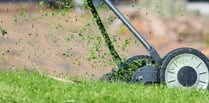 Tips for successful first cut of the year for lawns