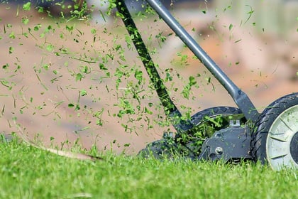Tips for successful first cut of the year for lawns