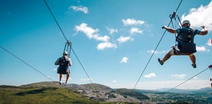 Zip line proposal in Tavi woods to benefit tourism