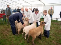 No animals for Liskeard and District Prime Stock show amid outbreak