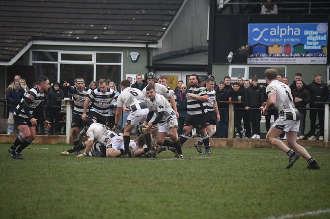 Launceston scrum-half Tom Sandercock makes a pass at Lydney.