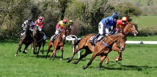 Great race meeting in prospect at Showground