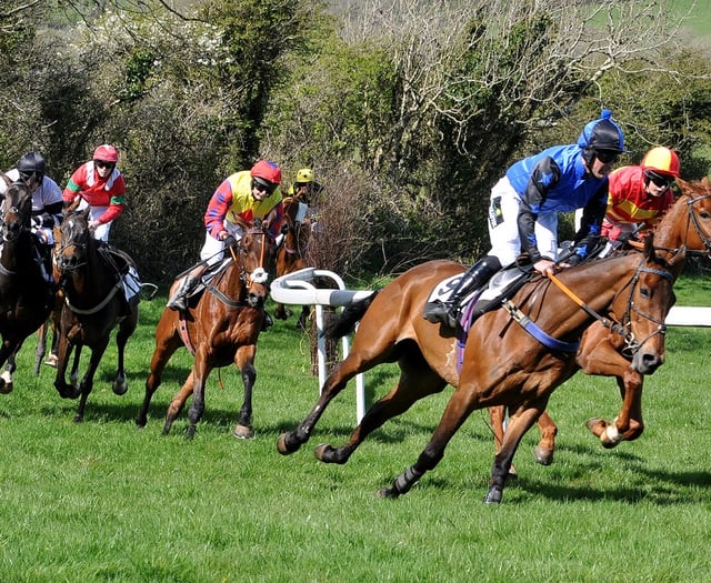 Six races on offer at point-to-point meeting