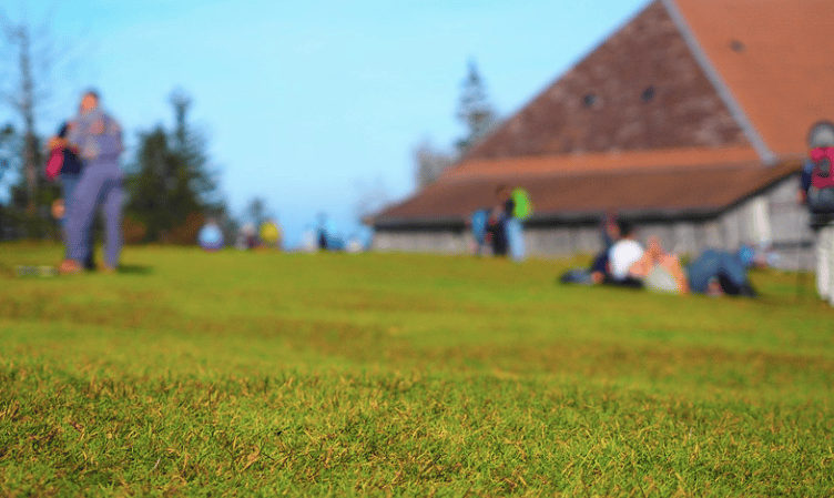 lawn bowling