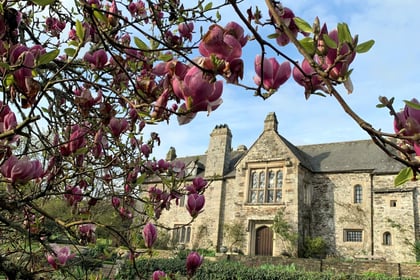 Tamar Valley celebrates its first ever Festival of Blossom