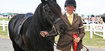 Royal Cornwall Show: Horse power on display