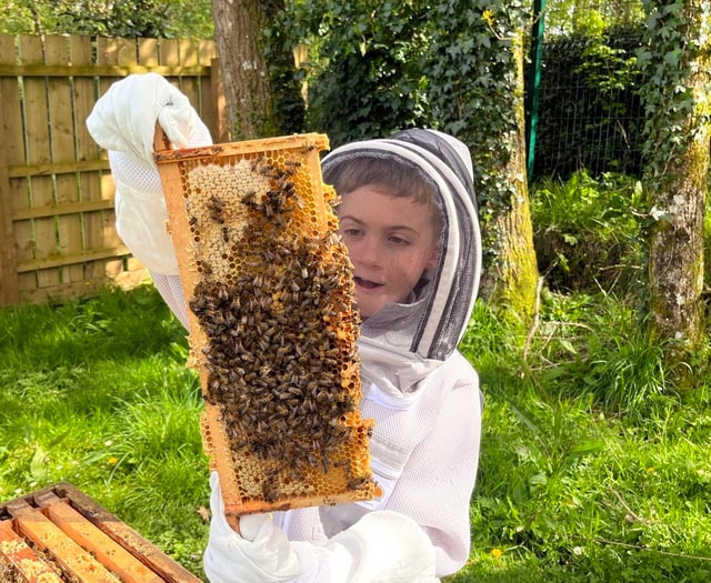 Launceston primary school a hive of activity