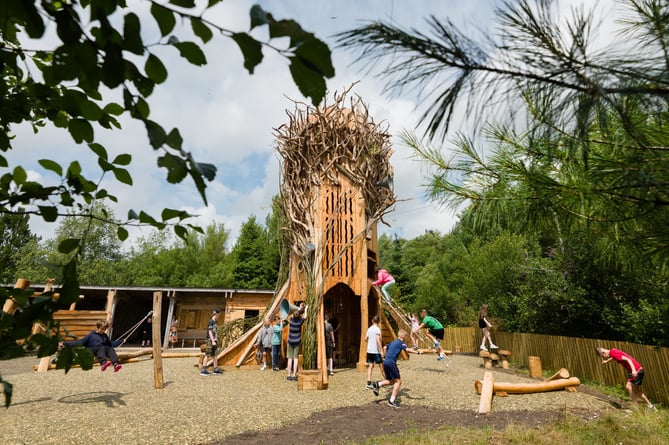 The Tree of Life in Nature's Playground at the Eden Project