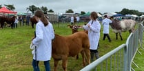 Launceston Agricultural Show - the latest pictures and updates 