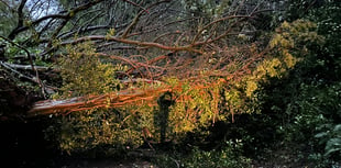 Storm Ciarán causes chaos throughout the South West