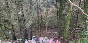 Launceston residents disappointed at woodland flytipping