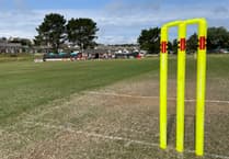 Teams wanted for annual cricket competition in aid of Firefighters Charity