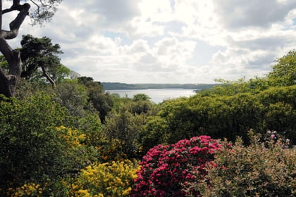 Private gardens across Cornwall and Devon are opening for charity