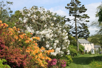 Bodmin Moor garden to open for charity