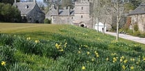 Cotehele to become more accessible says National Trust 