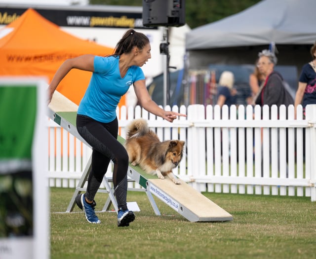 Bodmin dog owner celebrates success at agility festival