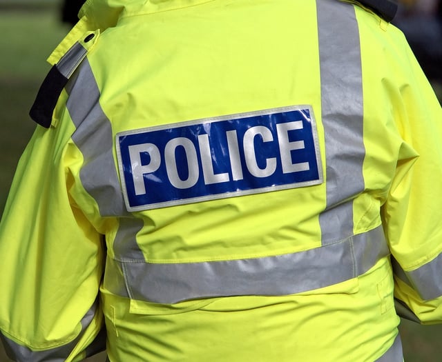 Police launch investigation after elderly woman dies in A30 crash