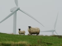 Police urge North Cornwall farmers stay vigilant amid livestock theft