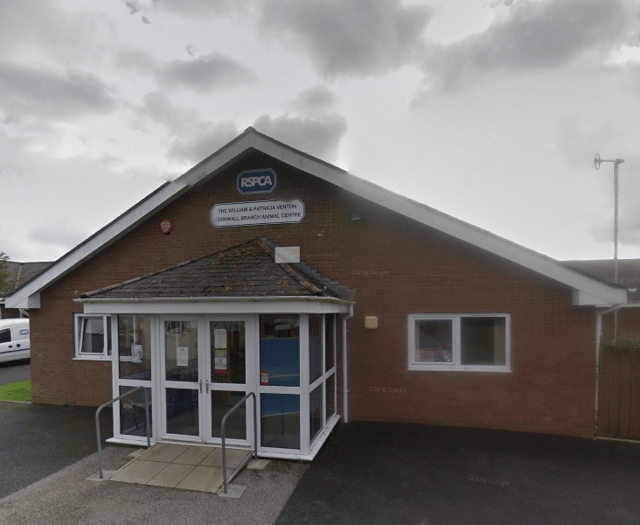 The RSPCA Cornwall branch is no longer taking in small animals 