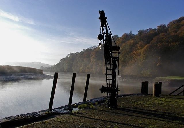 Cotehele is one of the locations visited by the Tamar Valley groupss which meets each Wednesday morning from October to December. (Photo credit: TVNL)